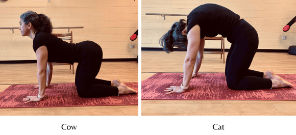 cat cow yoga pose for cancer patients - virginia oncology 